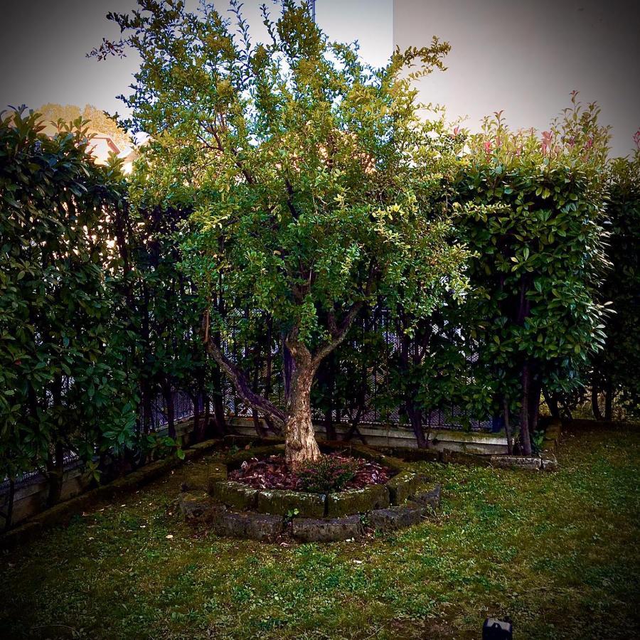 Residenza Il Fiore Бергамо Екстериор снимка